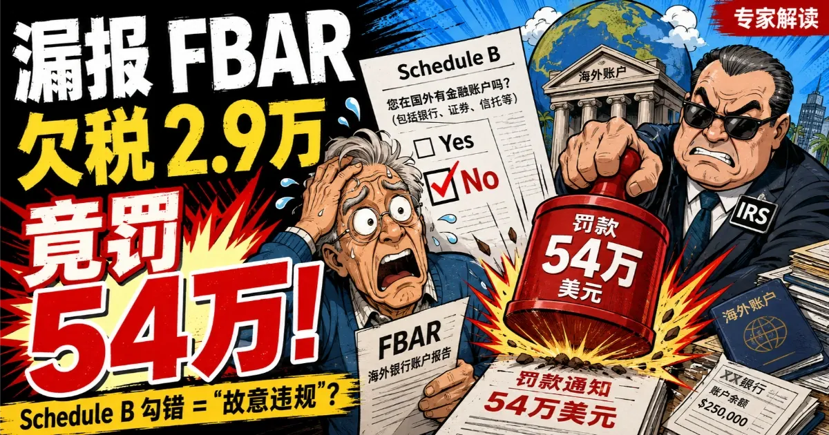 漏报 FBAR 仅欠税 2.9 万美元却被罚 54 万美元，Schedule B 勾选 No 被认定为故意违规的 Saydam 案漫画